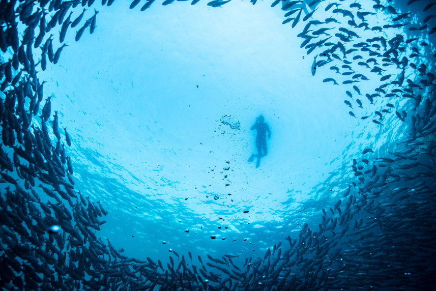 Snorkeling - La Pinta