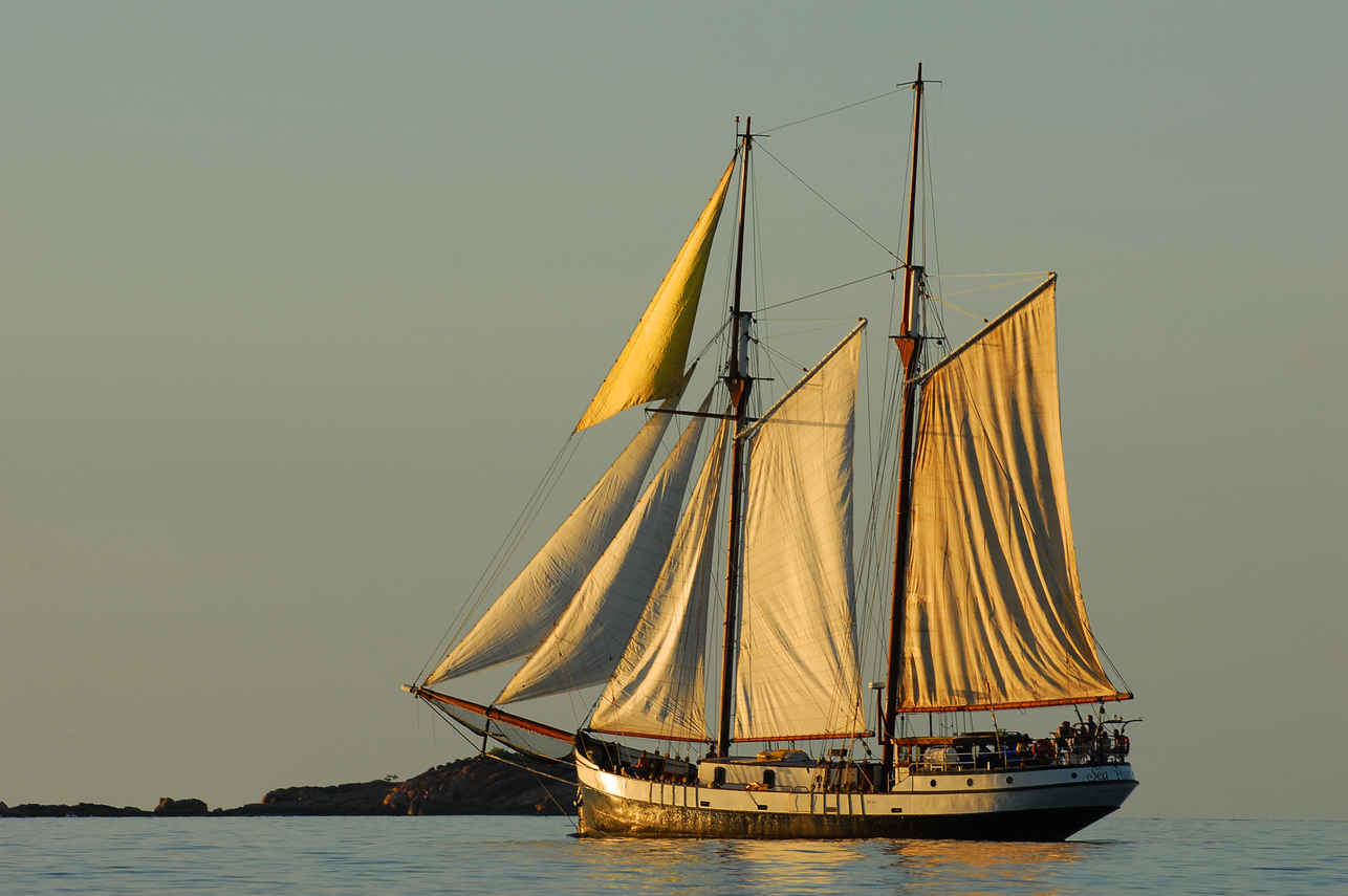 Sea Pearl Cruise