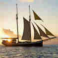 Sea Pearl Cruise