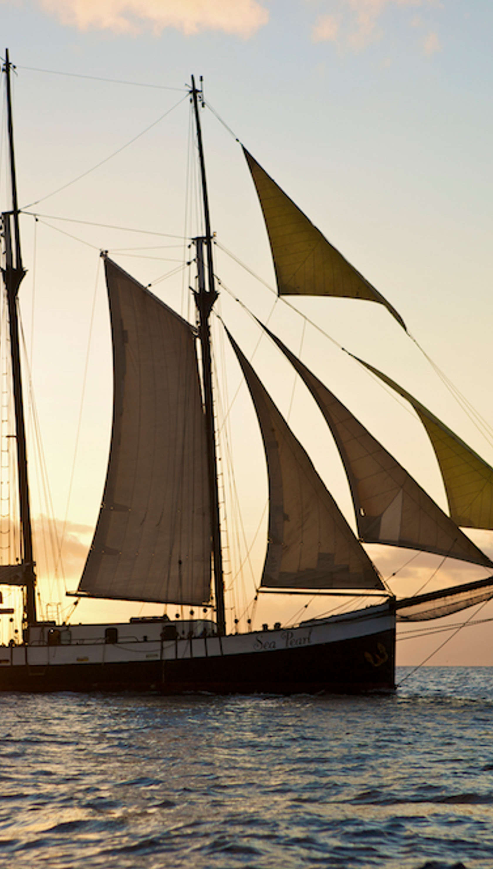 Sea Pearl Cruise