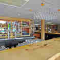 Bar Area - Wilderness Adventurer