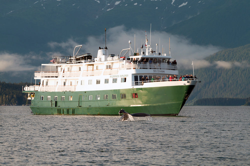 Whale Watching with Wilderness Explorer Alaska