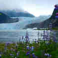 Beautiful Alaskan Scenery