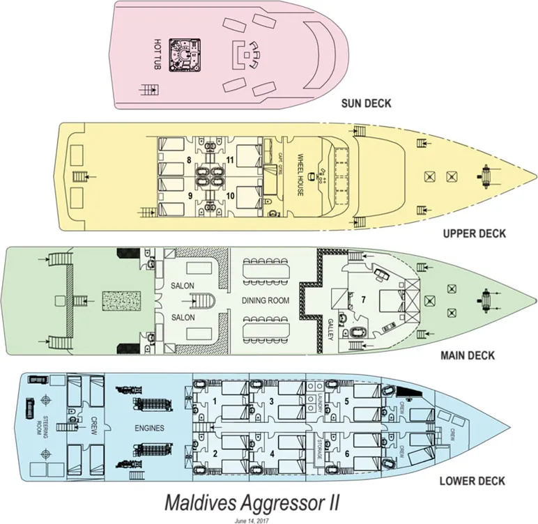 disposizione del ponte