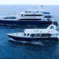 Maldives Aggressor II