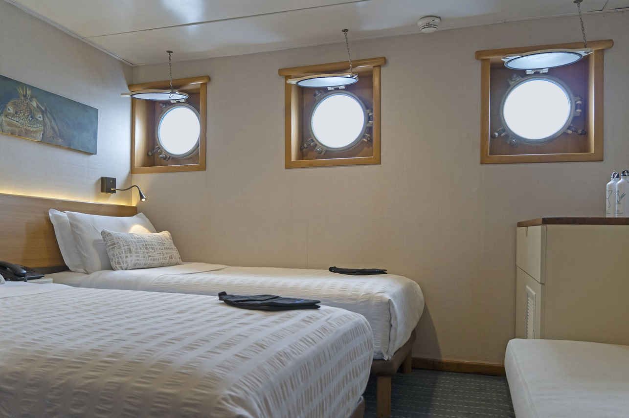 Standard Plus Cabin