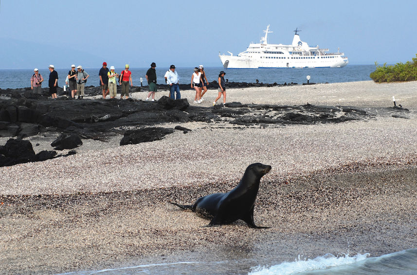 Galapagos Legend