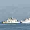 Coral I and II