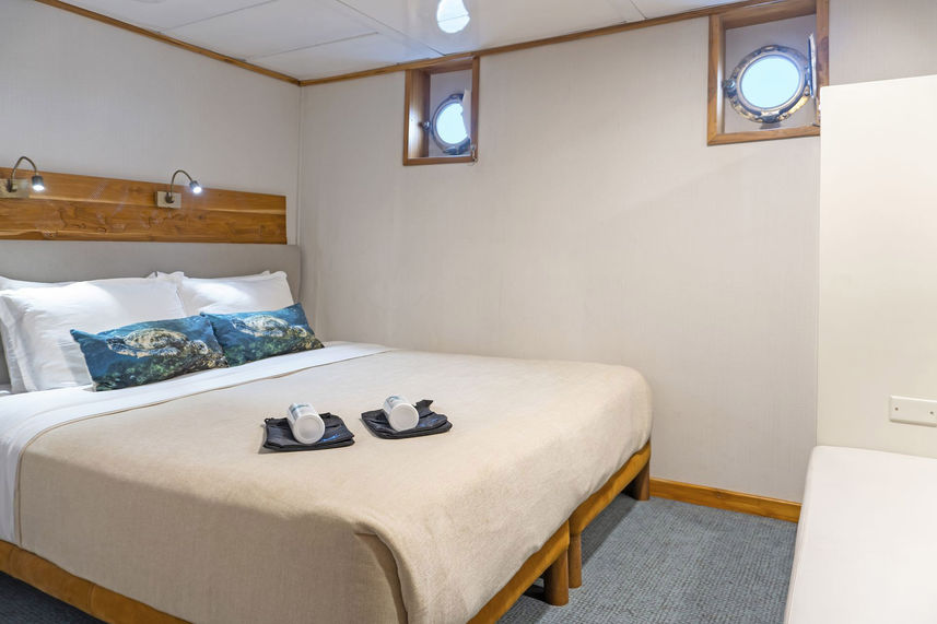 Standard Plus Cabin - Coral I and II Galapagos