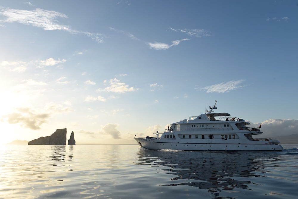 Coral I at Kicker Rock Galapagos