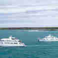 Coral I and II