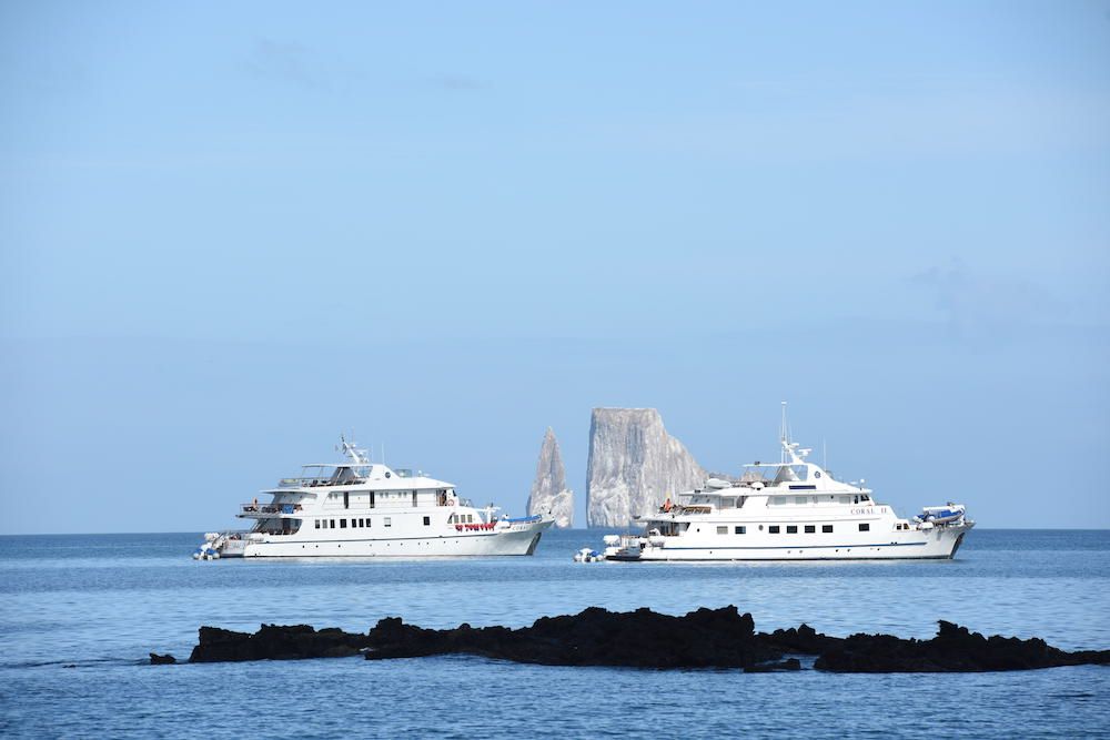 Coral I and II Galapagos