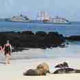 Beach walks in the Galapagos