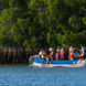 Panga ride - Coral I and II