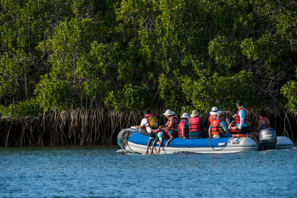 Panga ride  - Coral I and II