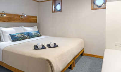 Standard Plus Cabin