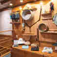 Boutique Area