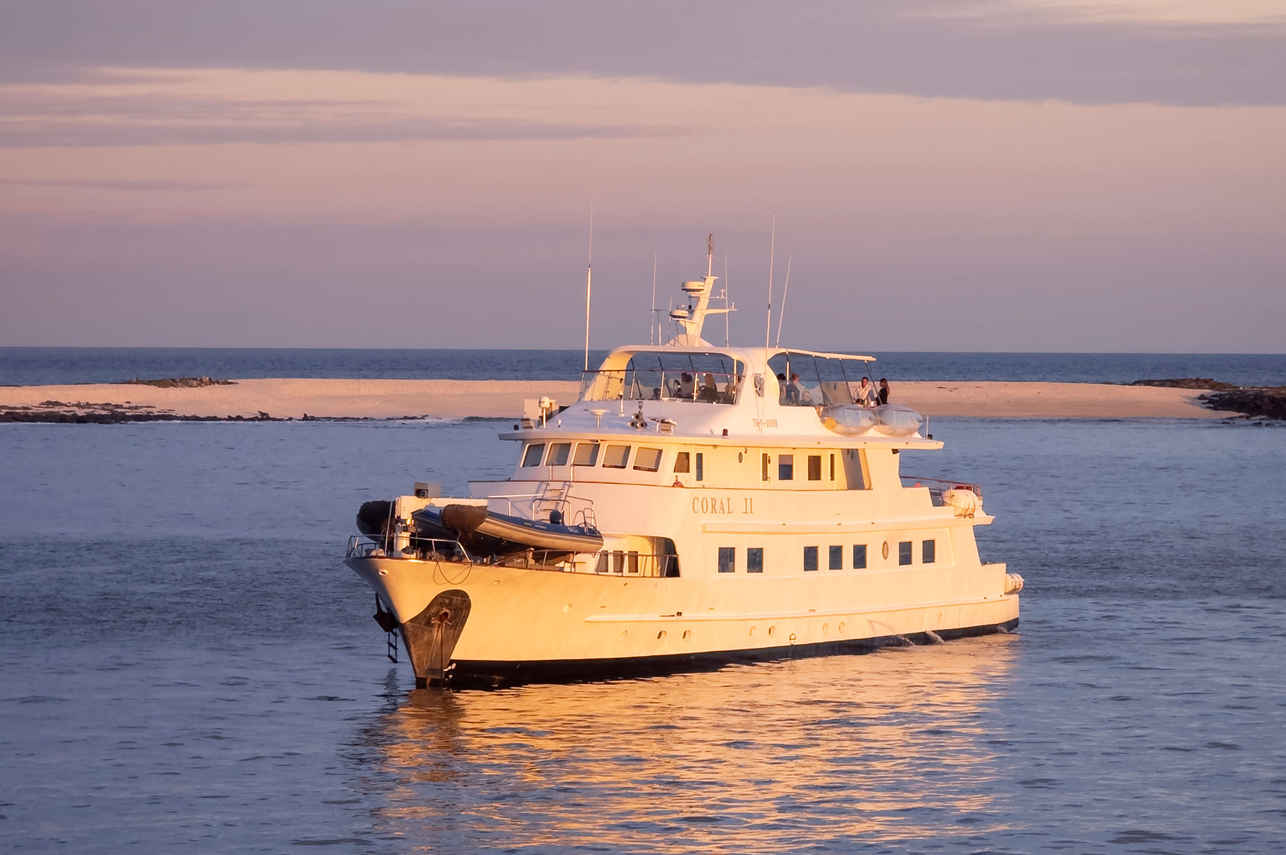 Coral II