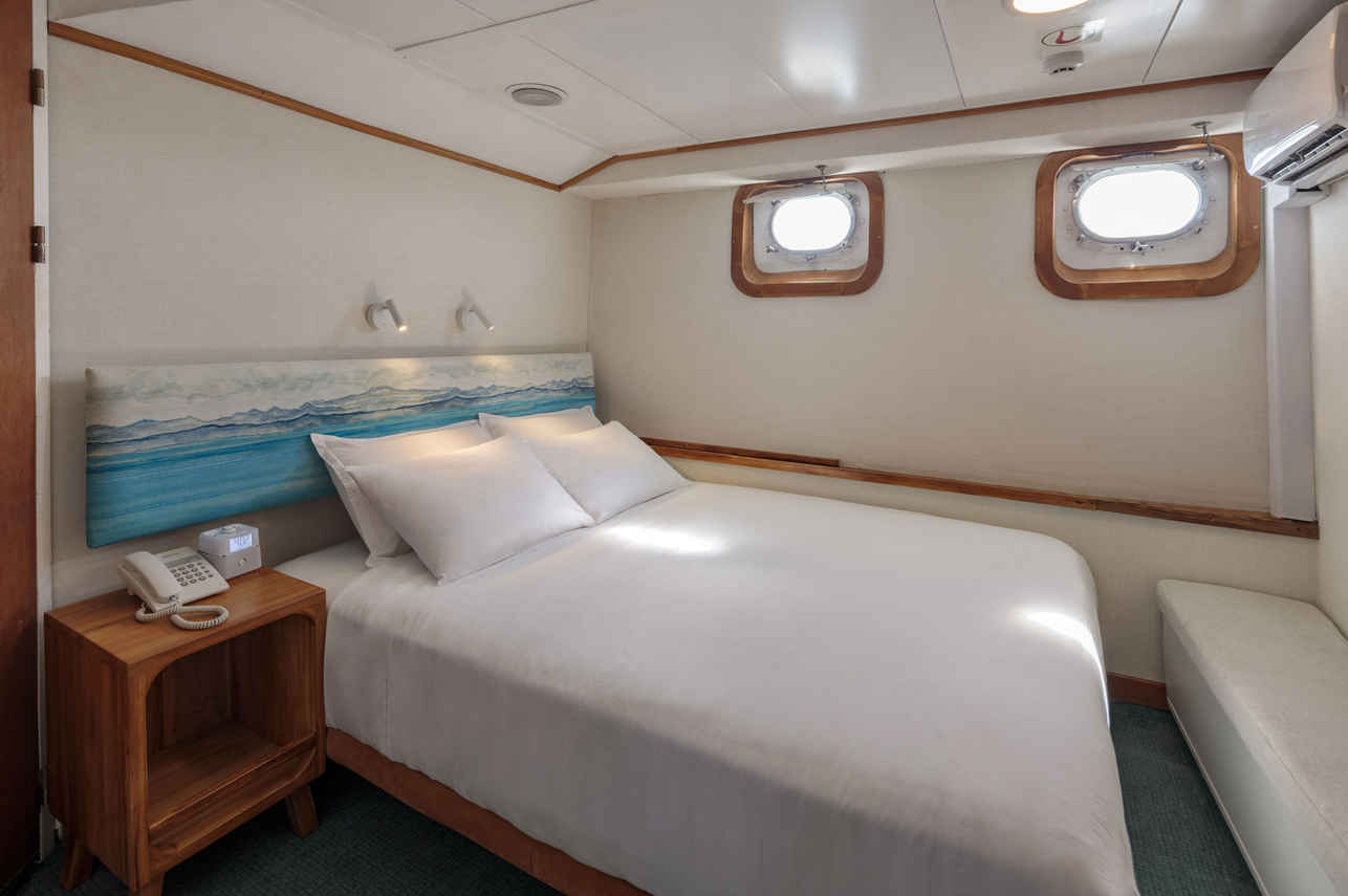 Standard Plus Cabin