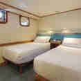 Standard Plus Cabin