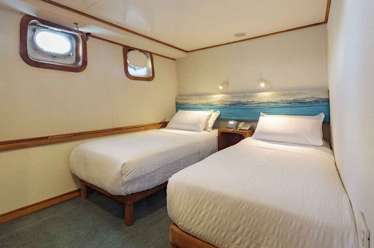 Standard Plus Cabin