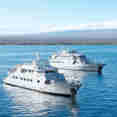 Coral I and II