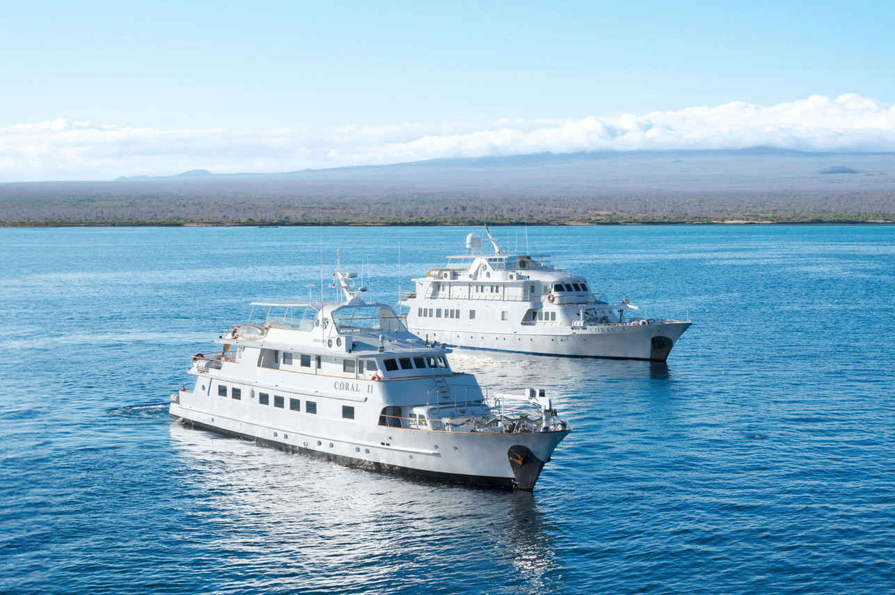 Coral I and II