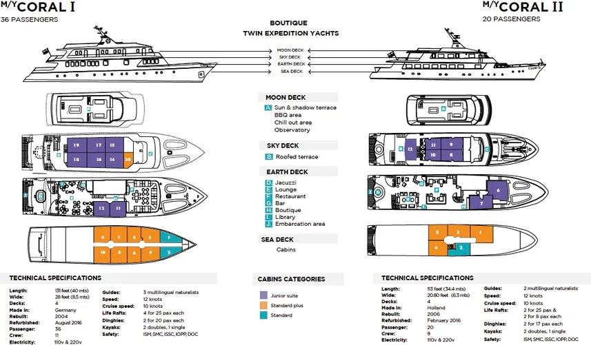 disposizione del ponte