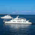 Coral I and II