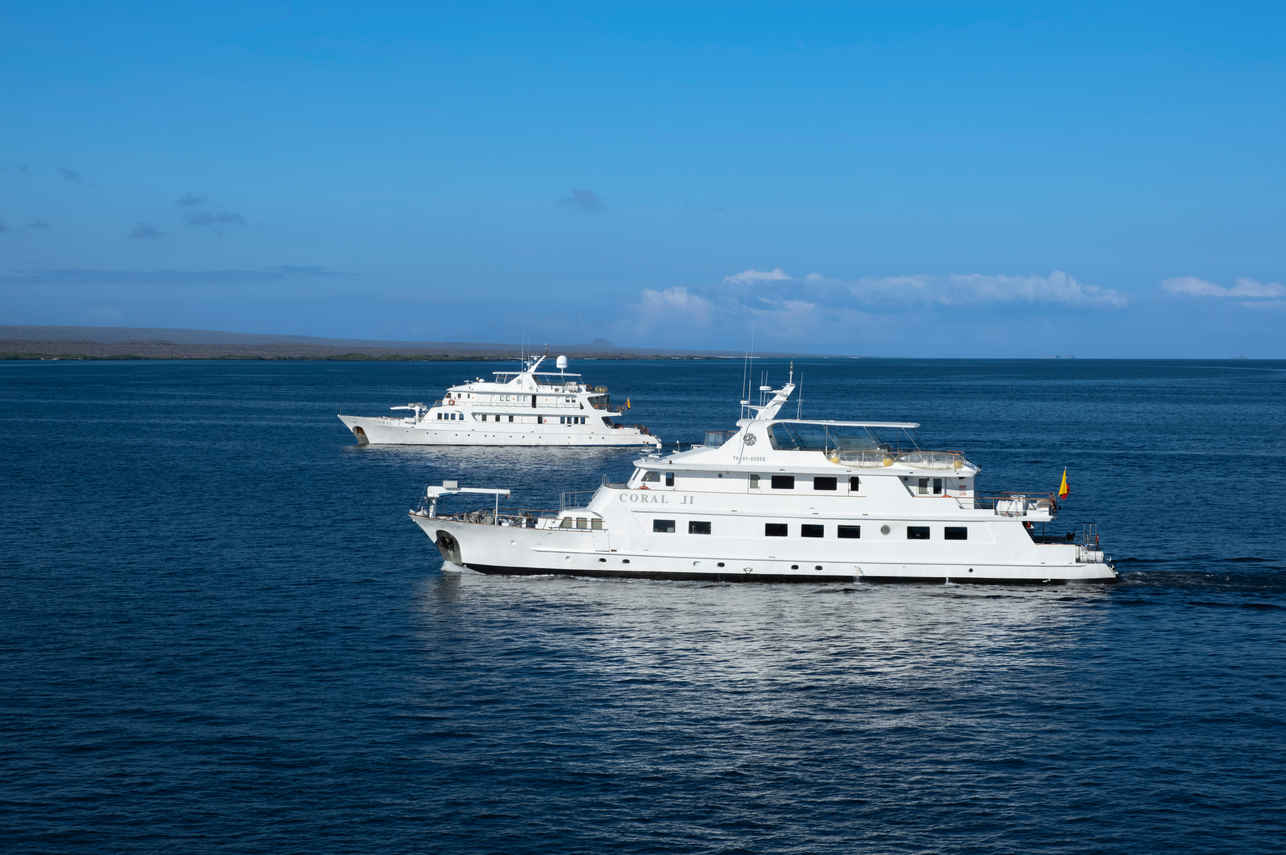 Coral I and II