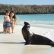 Family time with Sea Lions Galapagos