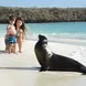 Family time with Sea Lions Galapagos