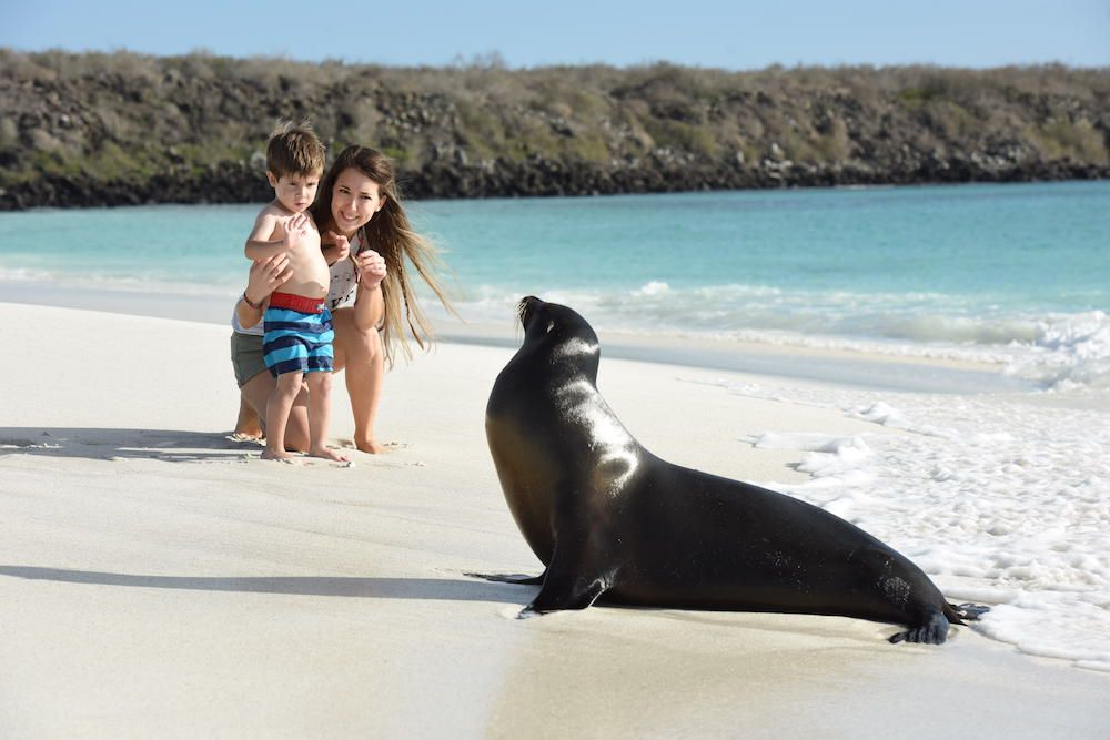 Family time with Sea Lions Galapagos