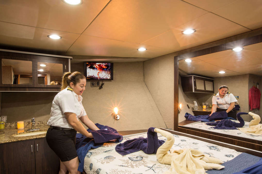 #mastercabin