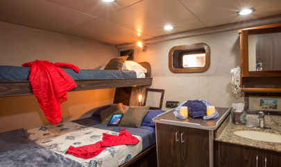 Deluxe Cabins