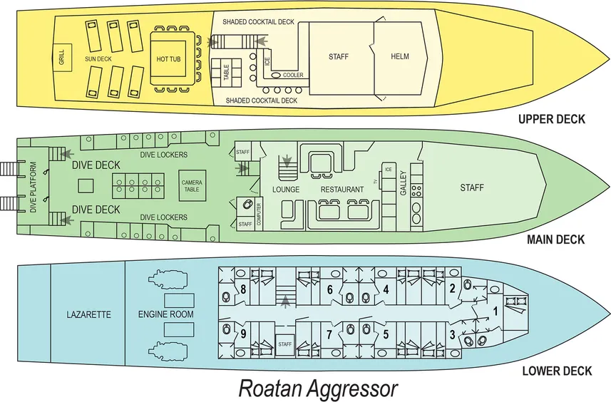 disposizione del ponte