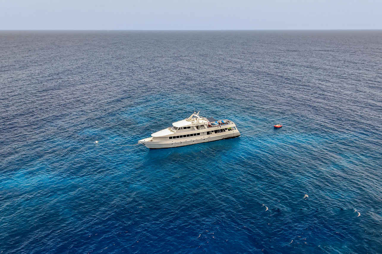 Roatan Aggressor
