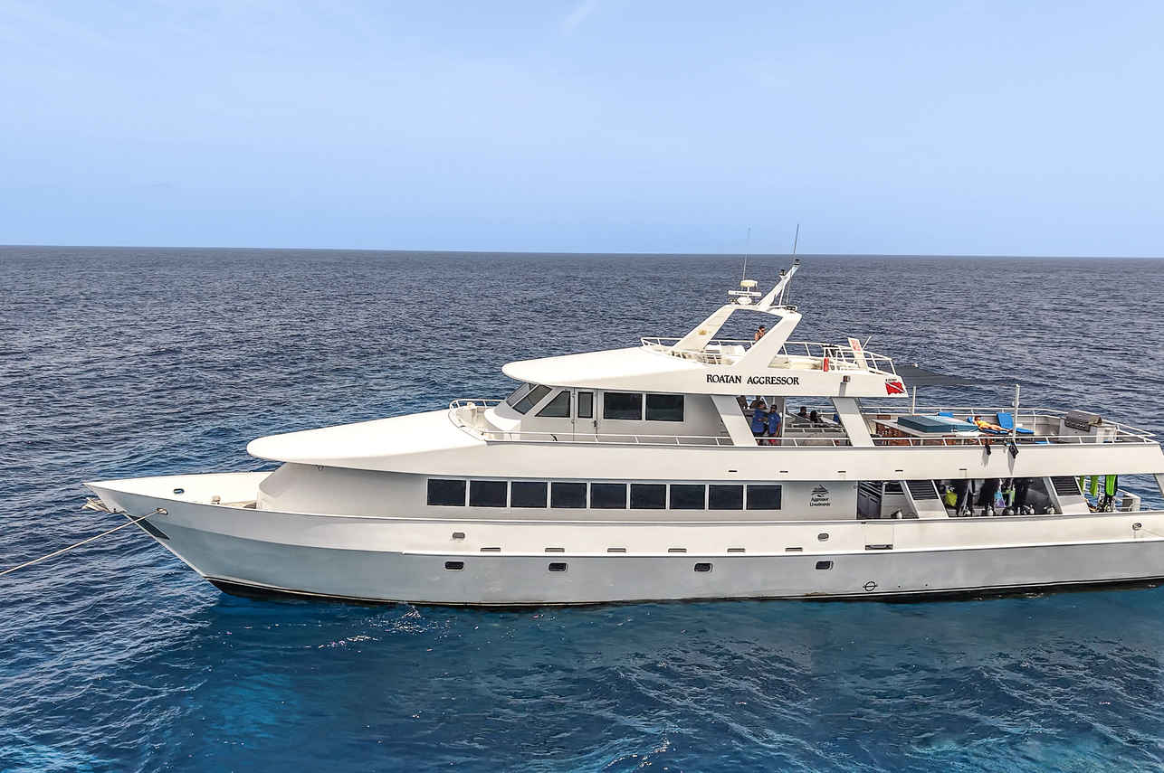 Roatan Aggressor