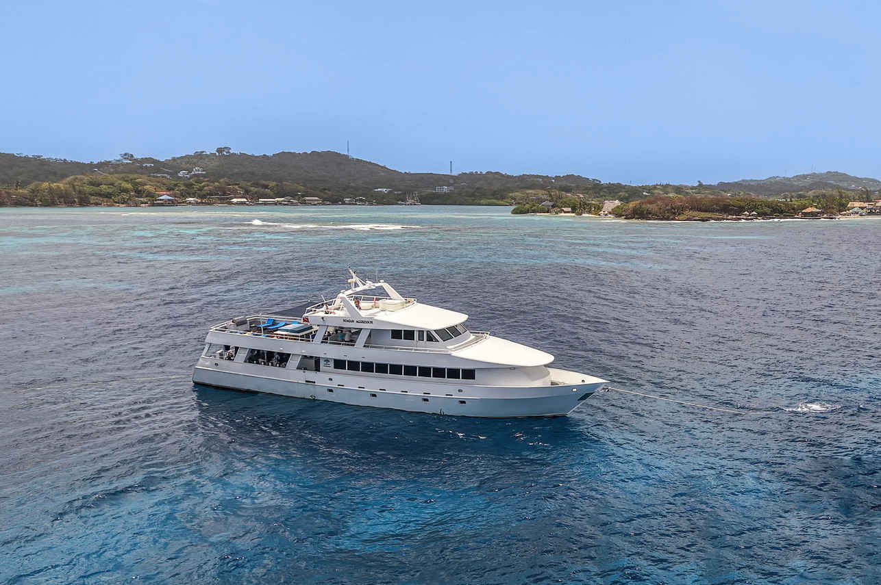 Roatan Aggressor
