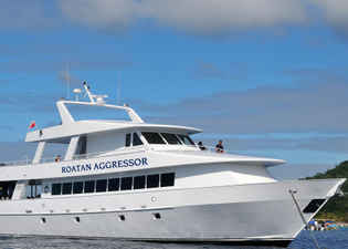 Roatan Aggressor