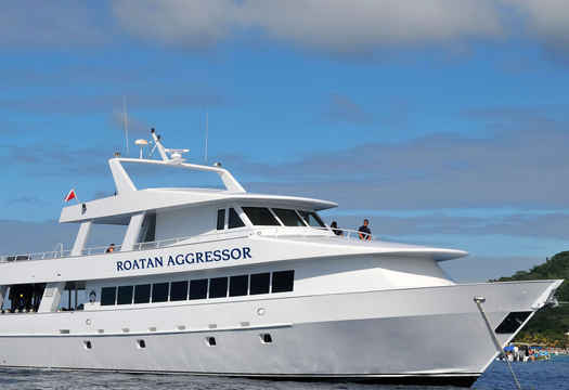 Roatan Aggressor