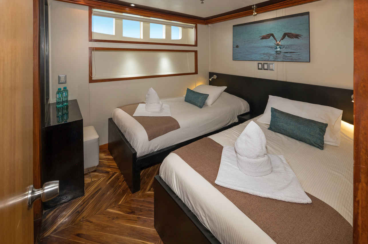 Cabine pont inférieur - Majestic Explorer
