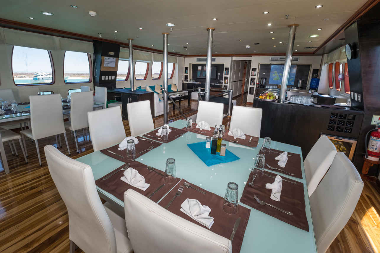 Salle à manger  - Majestic Explorer