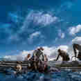 #divetender - Majestic Explorer