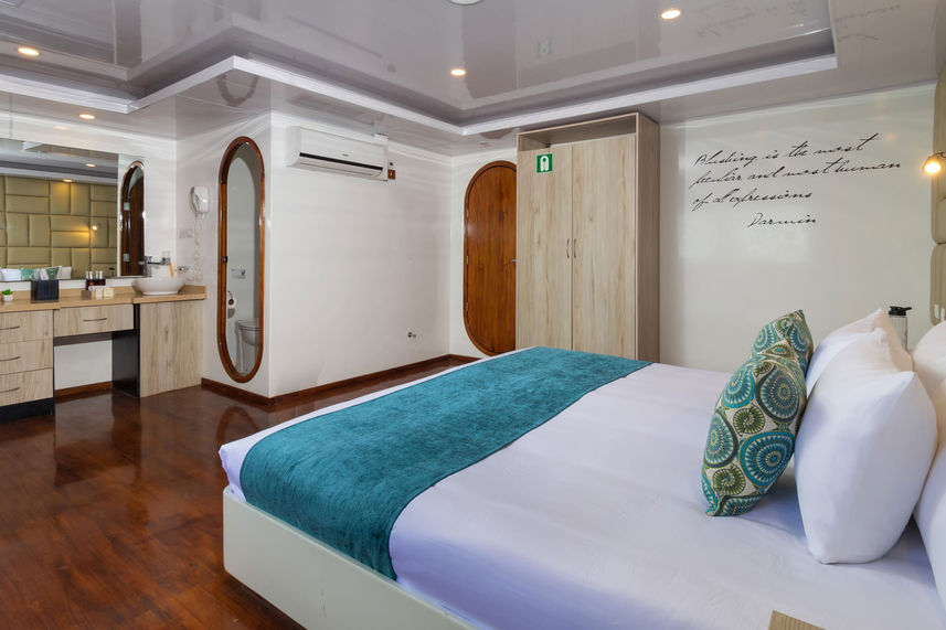 Stateroom - Petrel