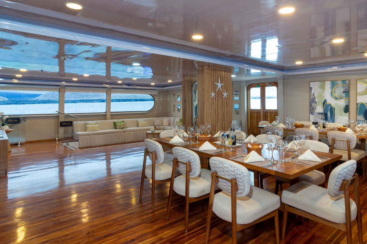 Comedor  - Petrel