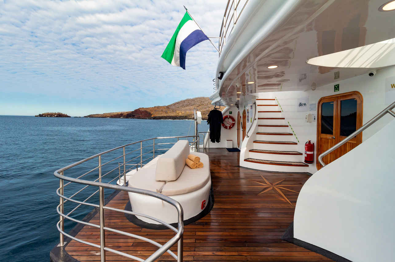 Salon exterior  - Petrel