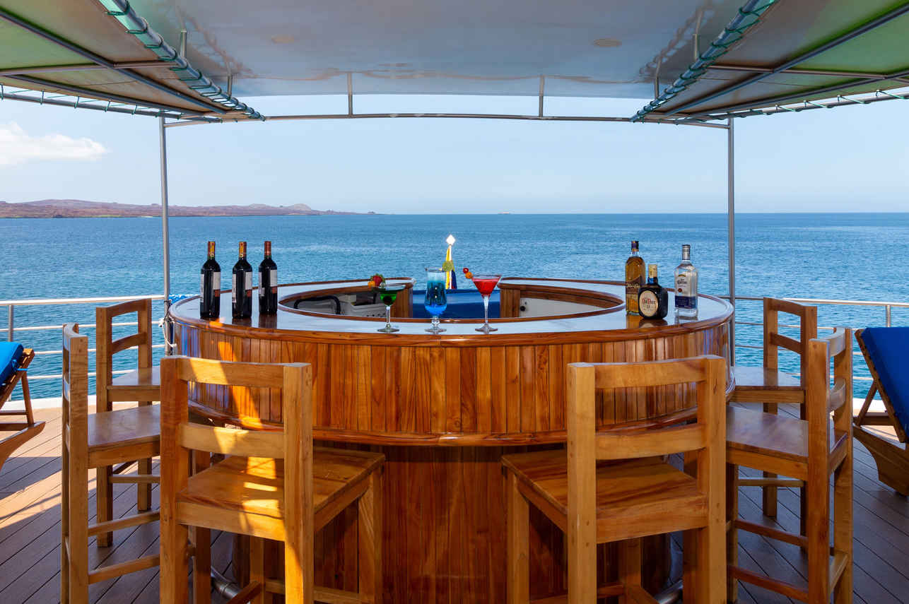 Bar - Petrel