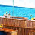 Bar Area - Petrel