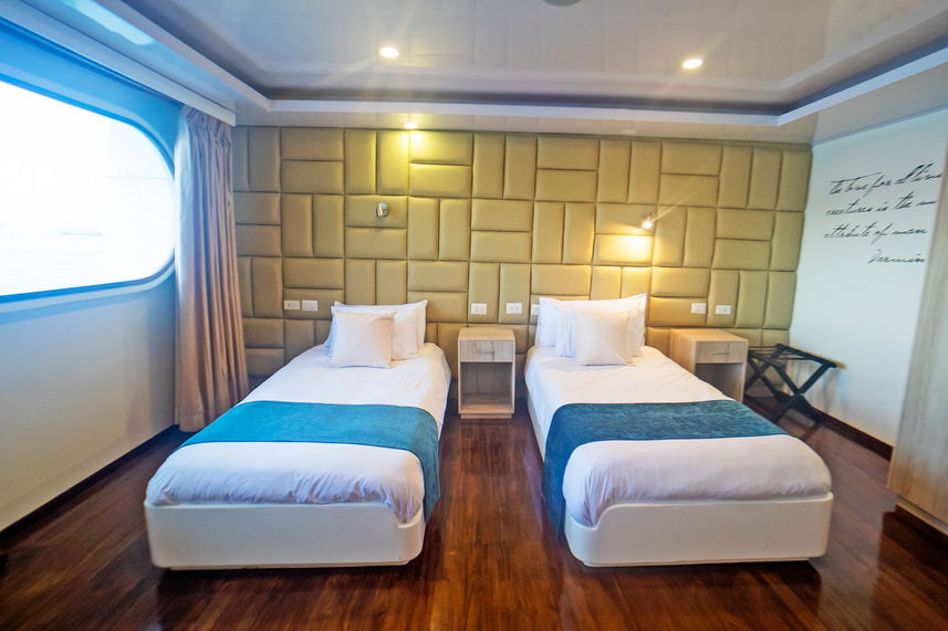 Stateroom  - Petrel